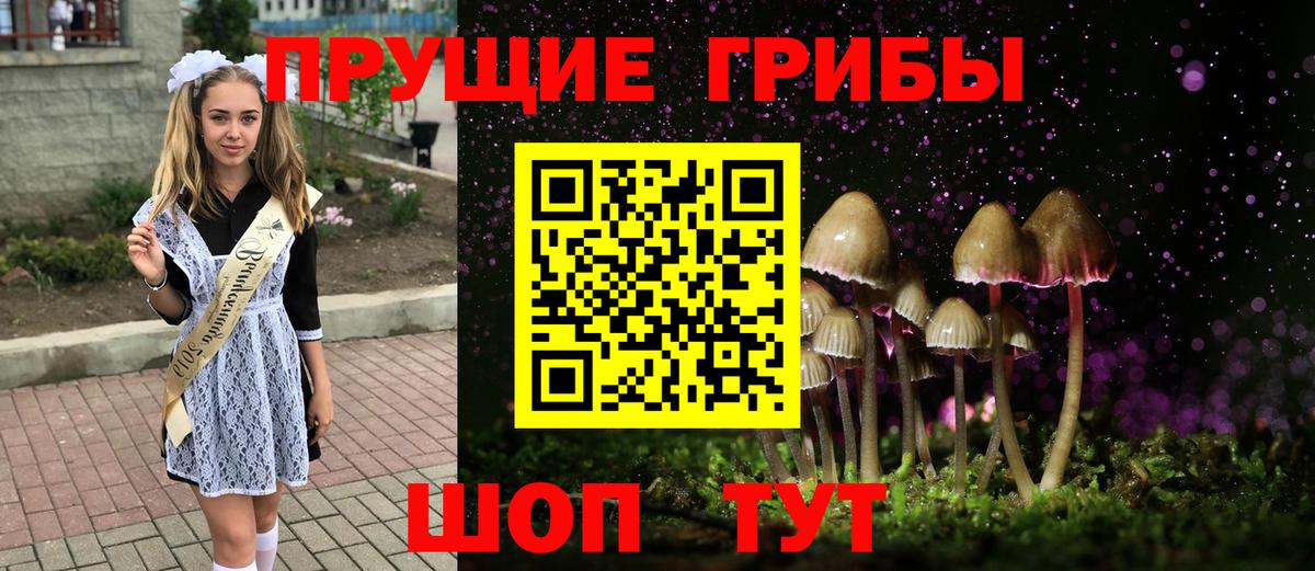 Псилоцибиновые грибы Psilocybe  Вход с VPN  Псилоцибиновые грибы мухоморы  Копейск 